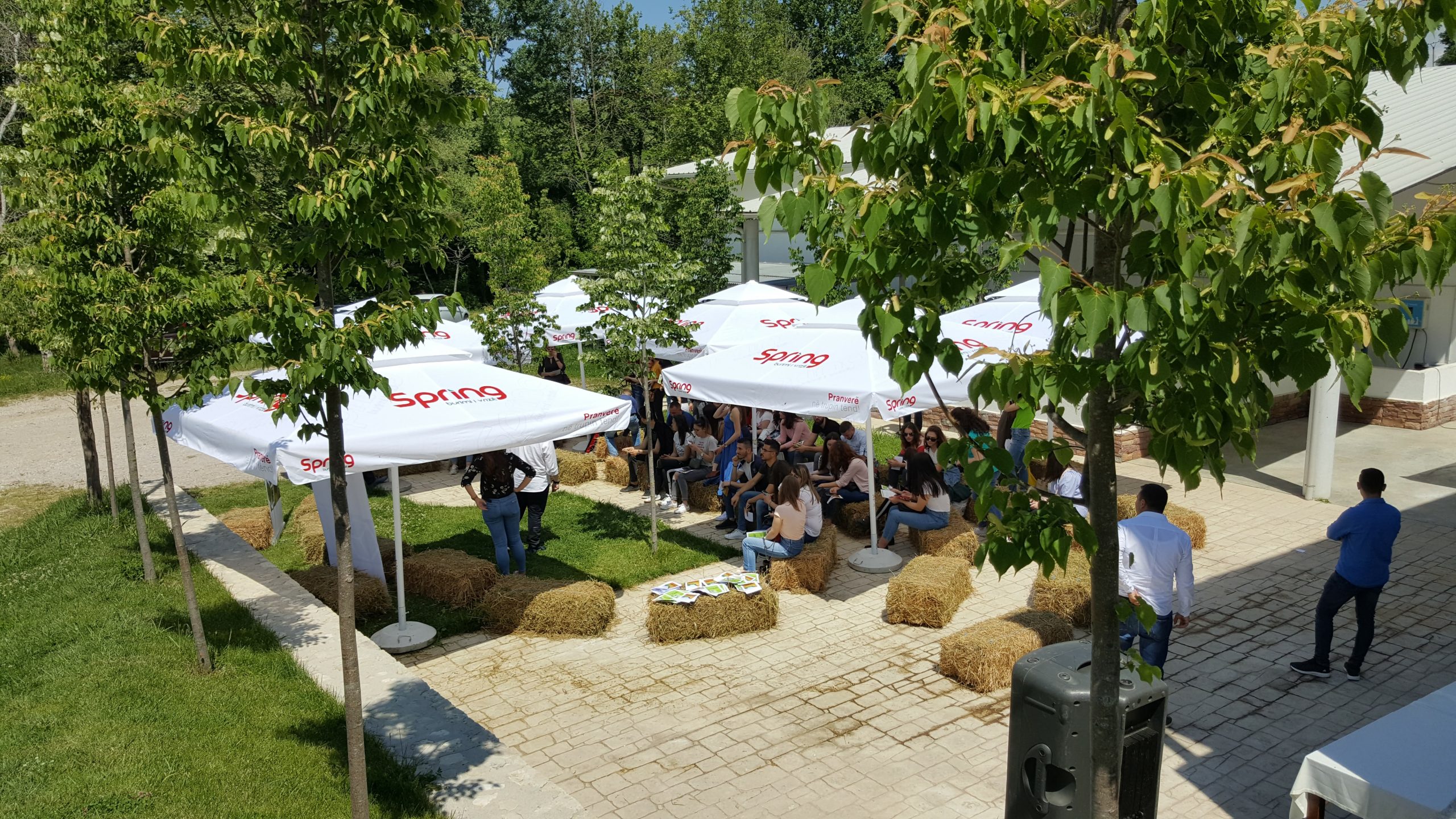 Oborri i fermes me cadra, bale kashte dhe vizitore